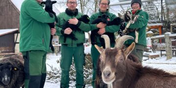 Foto: www.zoo-goerlitz.de, C. Hammer