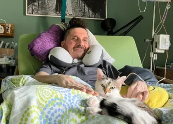 Zeckenbiss: Spendenaufruf für querschnittsgelähmten Cottbuser Erzieher