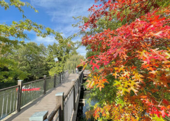 Lübben erhält EU-Förderung für Brückensanierung