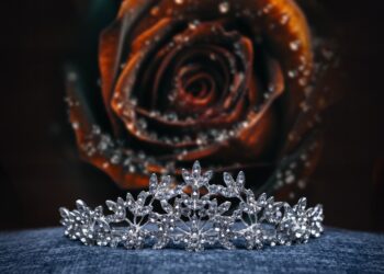 Traumjob mit Krone: Forst sucht die 33. Rosenkönigin