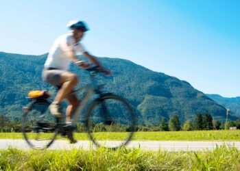 Entdecke dein Traum-Fahrrad: Vielfältige Modelle bei Little John Bikes