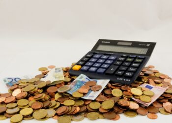 Nachhaltigkeit in der Niederlausitz: Initiativen für eine grüne Zukunft