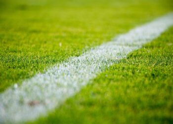 Brandenburg: Keine Vereins-Kostenbeteiligung an Risikospielen geplant