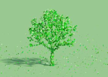 Hausratsversicherung und Nachhaltigkeit: Gibt es „grüne“ Policen?