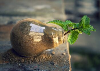 Kleine Gewohnheiten, große Wirkung: Nachhaltig im Alltag leben