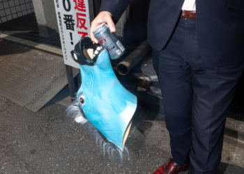 Kunst- und Kulturfördervereins Cottbus e.V.