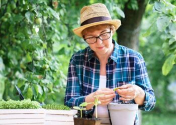 Slow Living in der Lausitz: Ein Lebensstil zwischen Natur und Moderne