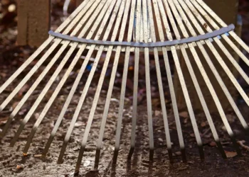 „Sauberhaftes Forst“: Die Rosenstadt lädt zum Frühjarsputz