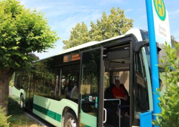 Neue Busfahrpläne: Änderungen zum Ferienende im Elbe-Elster-Kreis