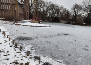 Tückische Eisflächen: DLRG & Polizei warnen vor Lebensgefahr