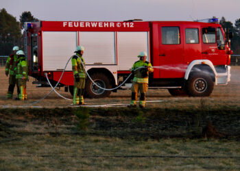 Flächenbrand am Flugplatz Cottbus. Polizei ermittelt zur Brandursache