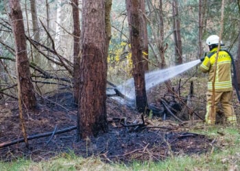 Feuerwehreinsatz bei Saspow: Kleiner Waldbrand schnell gelöscht