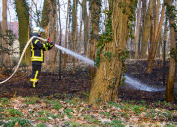 Brand in Burg: Flammen greifen auf Friedhof über