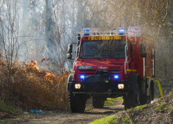 Flächenbrand in Finsterwalde: Feuerwehr löscht Flächenbrand
