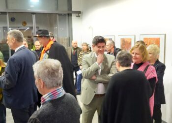 Citymanagement Cottbus 