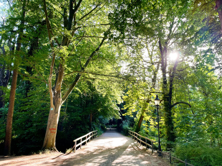 Stadt Lübben, B. Möbes
