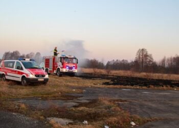 Erneuter Brand auf ehemaligem Flugplatz Cottbus. Polizei ermittelt