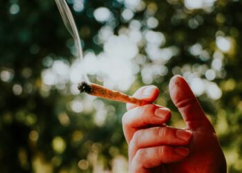 Cannabis konsumieren: Was ist inzwischen tatsächlich legal?