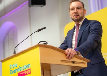 FDP Brandenburg bestätigt Zyon Braun als Landeschef. Kritik an Merz