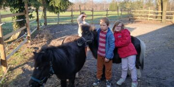 Foto 1: Die Kinder am FamilienCampus freuen sich auf Zuwachs für die zwei Therapiepferde und die beiden Ponys. (Foto FamilienCampus Lausitz gGmbH)