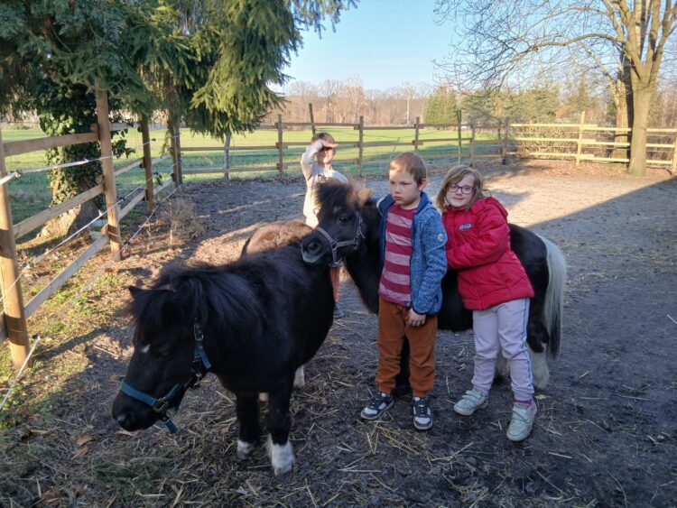 Foto 1: Die Kinder am FamilienCampus freuen sich auf Zuwachs für die zwei Therapiepferde und die beiden Ponys. (Foto FamilienCampus Lausitz gGmbH)