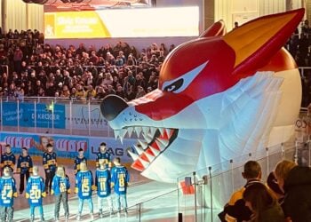 Große Unterstützung für Lausitzer Füchse – Spendenstand bei 52.000 Euro