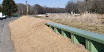 3)      Im Bereich des Elster-Parks in Herzberg wurden die Deiche in Teilbereichen von Grund auf ertüchtigt oder durch eine Spundwand verstärkt. (Bild: LKEE Torsten Hoffgaard)