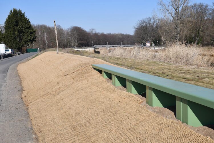 3)      Im Bereich des Elster-Parks in Herzberg wurden die Deiche in Teilbereichen von Grund auf ertüchtigt oder durch eine Spundwand verstärkt. (Bild: LKEE Torsten Hoffgaard)