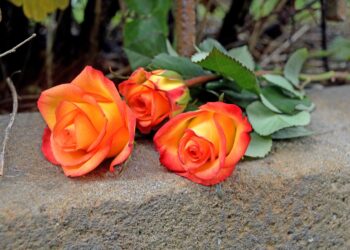 Wasserversorgung auf Cottbuser Friedhöfen ab 31. März wieder aktiv