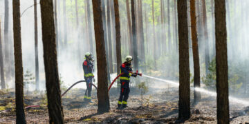 Bild: Lennart Bryks / Blaulichtreport Lausitz
