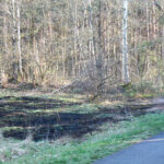 Brand in Freienhufen; Foto: Blaulichtreport Lausitz