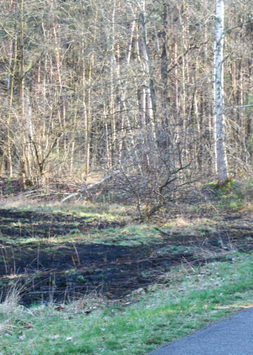 Brand in Freienhufen; Foto: Blaulichtreport Lausitz