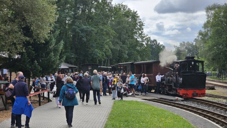 Waldeisenbahn Muskau 