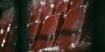 Bild: Christiane Weiland