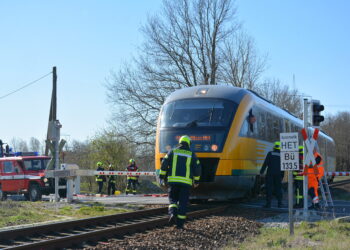 Zug mit Baum bei Bagenz kollidiert. Strecke teils gesperrt