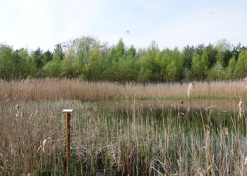 BTU und LEAG verlängern Forschung im Quellgebiet Hühnerwasser
