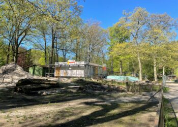 Neue Paviananlage im Tierpark Finsterwalde nimmt Gestalt an