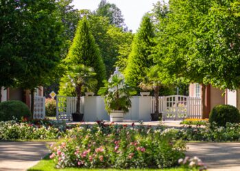 Blütenpracht & Livemusik: Rosengarten Forst startet in die neue Saison