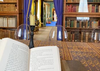 Lesen im Schloss: Stille Stunden für Bücherfreunde in Branitz