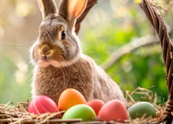 Osterfest im Tierpark Finsterwalde mit Familienprogramm