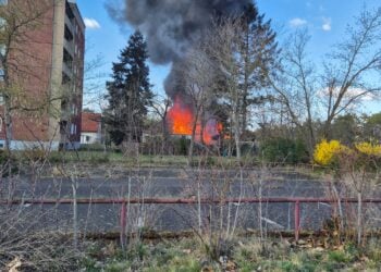 Verletzter bei Brand in Cottbus-Sachsendorf. Feuerwehren im Großeinsatz