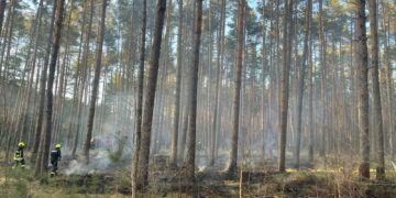 Bild: Blaulichtreport Lausitz