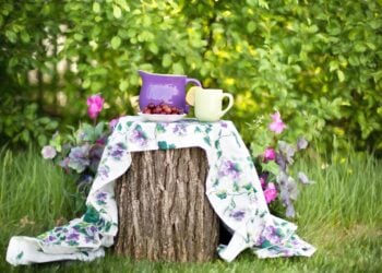 Unternehmen für Gartenfreunde in der Niederlausitz