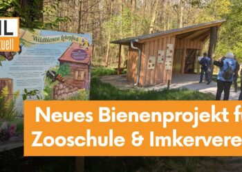 Kooperation mit Imkerverein: Tierpark Cottbus etabliert Lehrbienenstand
