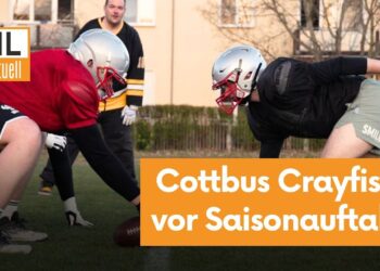 Sport-Update: Cottbus Crayfish blicken auf Saisonstart und auf Erfolge