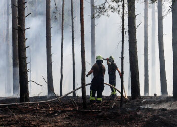 Waldbrand bei Spremberg; Foto: Blaulichtreport Lausitz