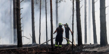 Waldbrand bei Spremberg; Foto: Blaulichtreport Lausitz