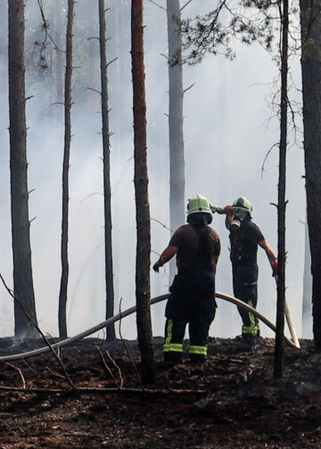 Waldbrand bei Spremberg; Foto: Blaulichtreport Lausitz