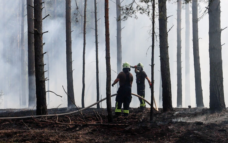 Waldbrand bei Spremberg; Foto: Blaulichtreport Lausitz