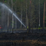 Waldbrand Preschen; Foto: Blaulichtreport Lausitz
